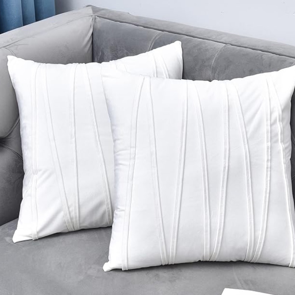 2 Plush Velvet Throw Pillow Covers